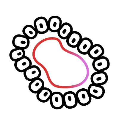 Organoids-related Solutions