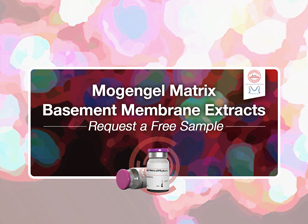 Request a Free Sample of Mogengel Matrix