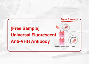 [Free Sample] Universal Fluorescent Anti-VHH Antibody — Precise Detection of VHH-Based CAR Expression