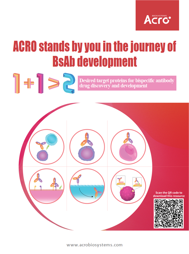 ACRO BsAb-202209