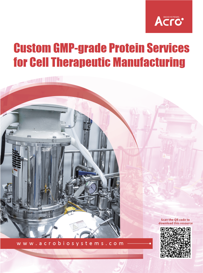 Custom GMP-grade Protein Services for Cell Therapeutic Manufacturing
