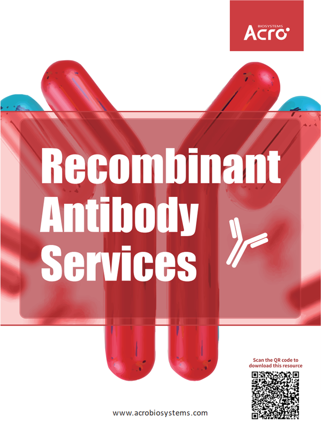 Recombinant Antibody Services - ACROBiosystems