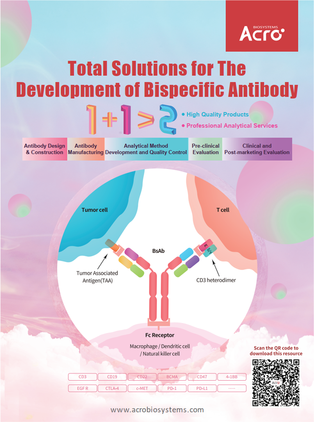 Total Solutions for The Development of Bispecific Antibody
