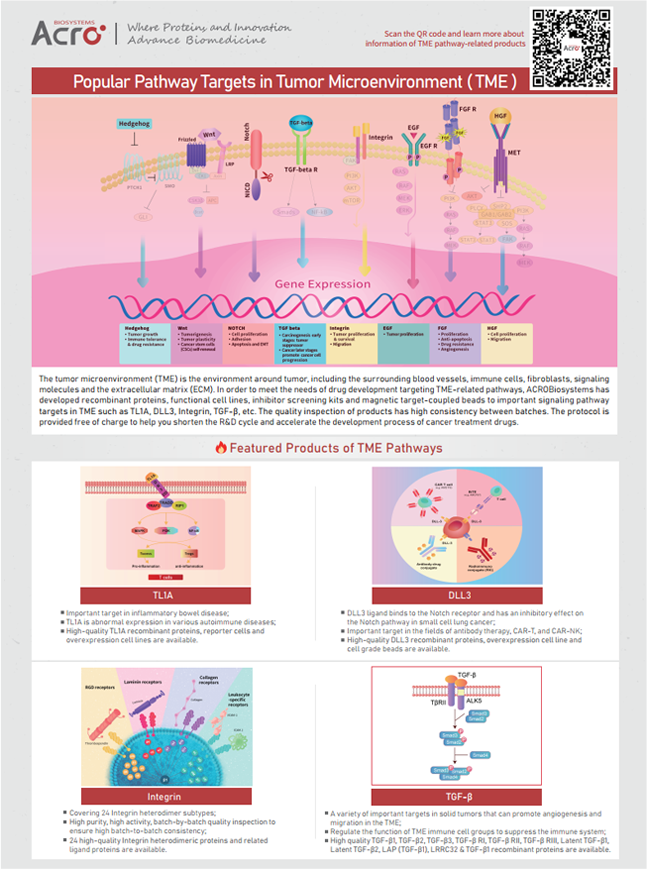 [Flyer] Popular Pathway Targets in Tumor Microenvironment (TME)