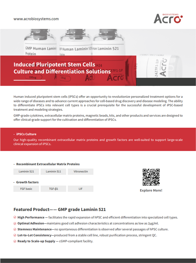 Induced Pluripotent Stem Cells Culture and Differentiation Solutions