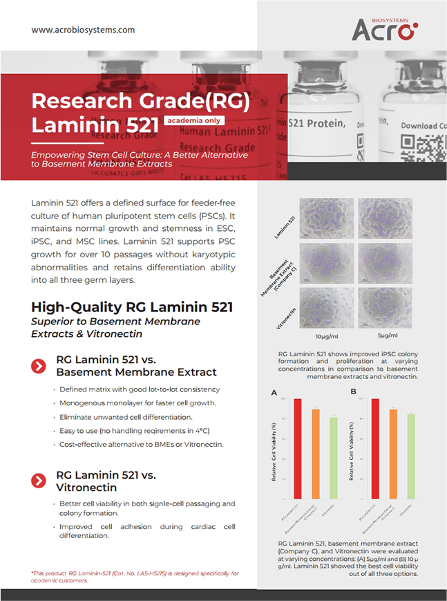 Research Grade(RG) Lamin 521