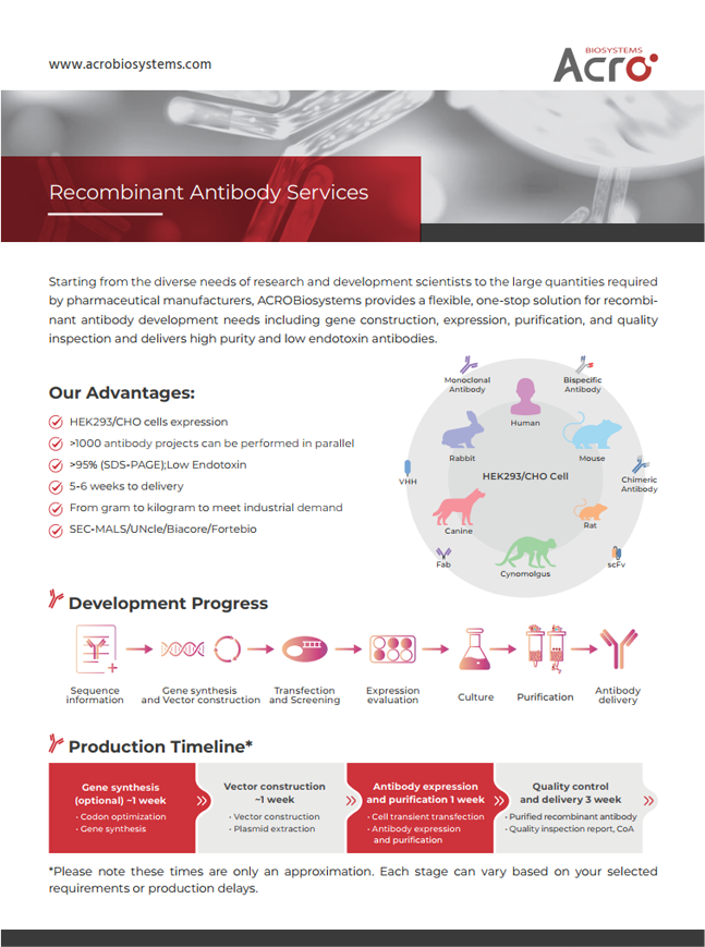 [Flyer]Recombinant Antibody Services