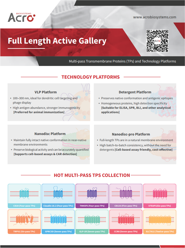 [Flyer]Full Length Active Gallery