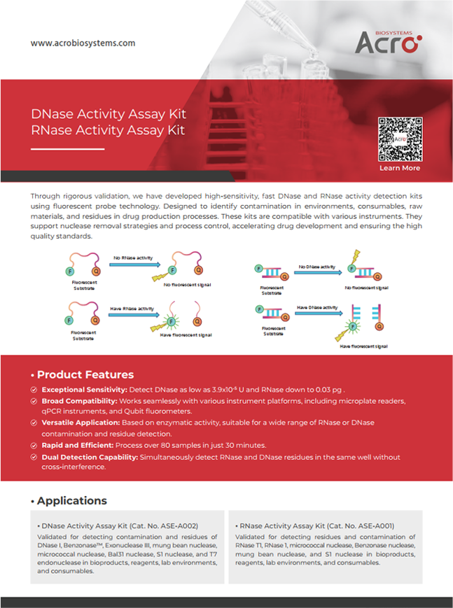 [Flyer]DNase RNase Activity Assay Kit