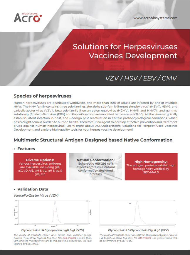 [Flyer] Solutions for Herpesviruses Vaccines Development
