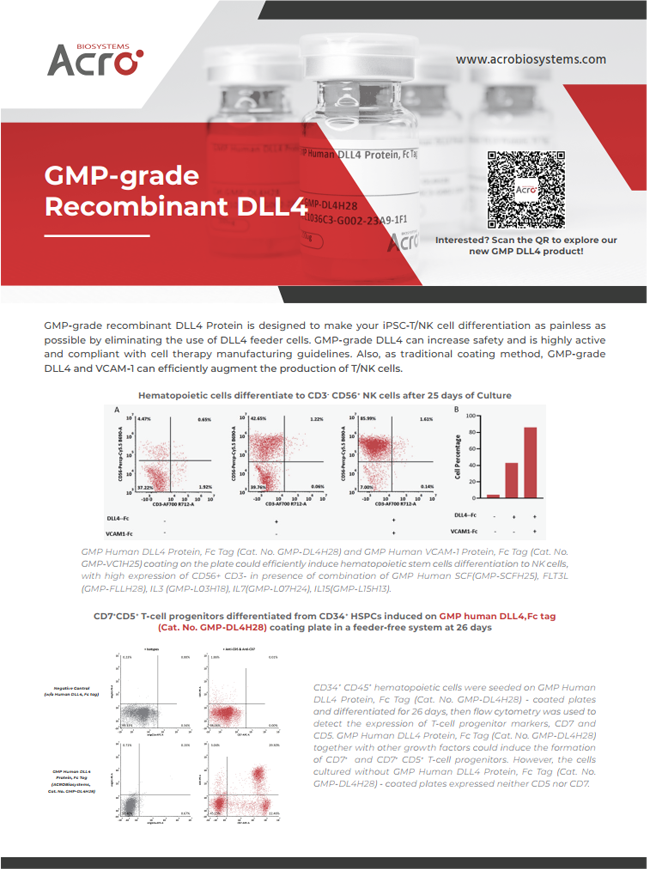 GMP-grade Recombinant DLL4&Beads