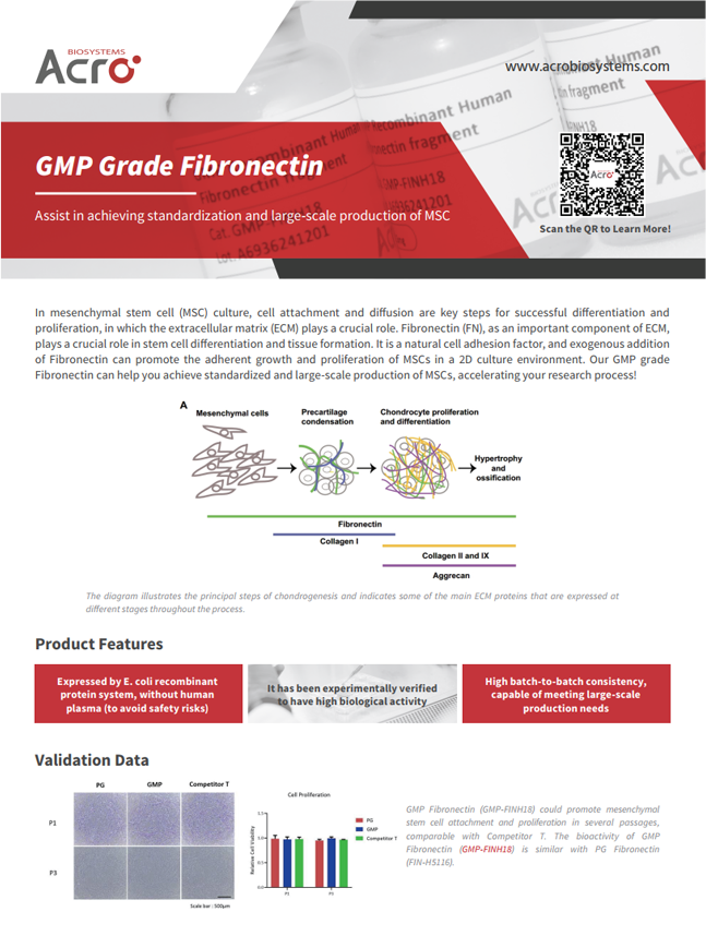 GMP Grade Fibronectin