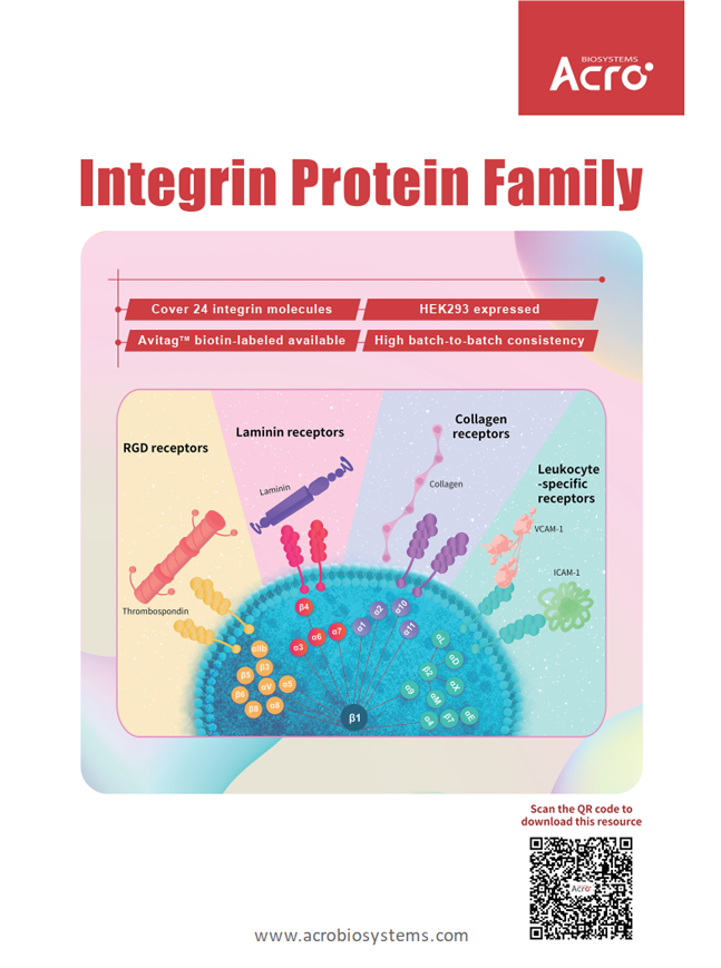 Integrin Protein Family