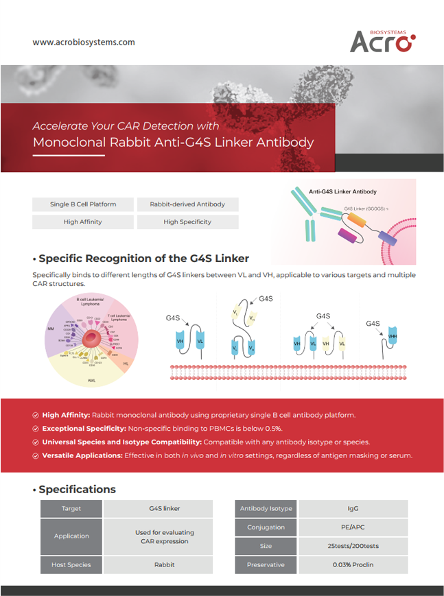 Monoclonal Rabbit Anti-G4S Linker Antibody