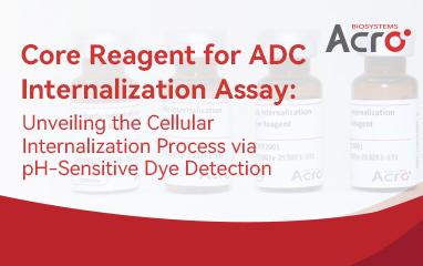 Core Reagent for ADC Internalization Assay:Unveiling the Cellular Internalization Process via pH-Sensitive Dye Detection