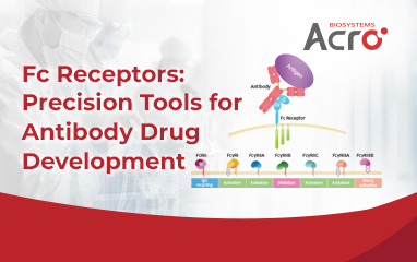 Unlocking the Immune Code of Antibodies: A Strategic Overview of Fc Engineering