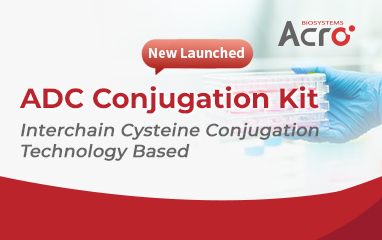 Complete ADC Conjugation in 3 Hours! Redefining Conjugation Speed and Precision