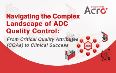 Navigating the Complex Landscape of ADC Quality Control: From Critical Quality Attributes (CQAs) to Clinical Success