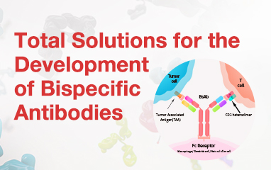 Bispecific Antibody Lanscape: Evolution, Breakthroughs, and Prospects