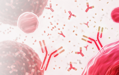  Development and validation of bioanalytical assays for the quantification of ADC