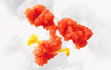 Dual-Payload ADCs: Translational Challenges and Clinical Pharmacology