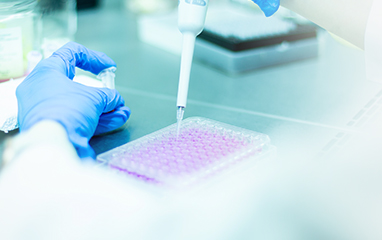 Independent Eurofins Validation Confirms rFC Endotoxin Testing Performance and LAL Comparability