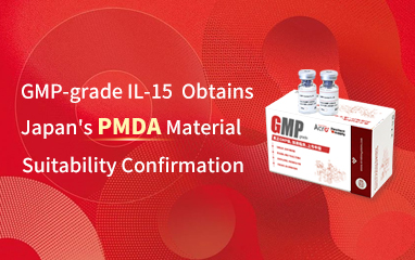 ACROBiosystems Obtains PMDA Material Suitability Confirmation for GMP-grade IL-15, Ensuring Reliable Quality and Strengthening the Biopharmaceutical Approval Process