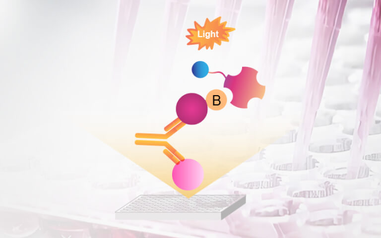 Bridging ELISA Kits: Streamline Your Bispecific Antibody Activity Assessment