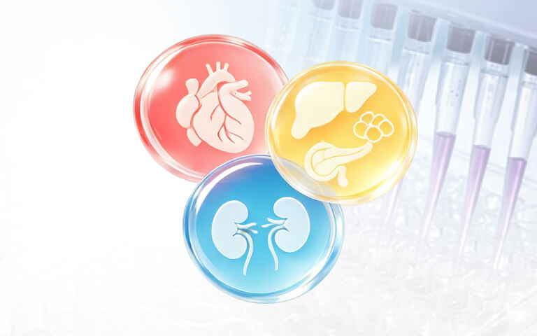 Biomarkers: Enabling Precision Assessment of Cardio-Kidney-Metabolic (CKM) Syndrome