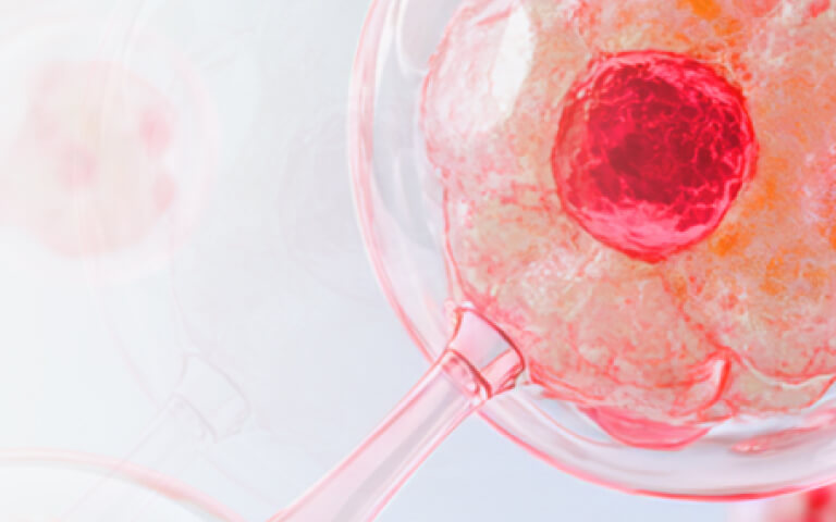 Expanding the Potential of Hematopoietic Stem Cells (HSCs): Emerging Strategies for HSCs Expansion and Clinical Manufacturing