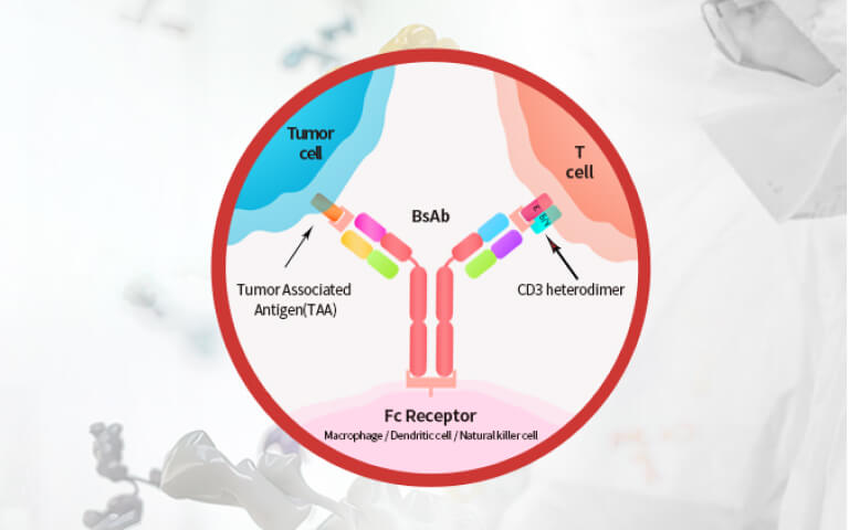 Beyond Bispecifics: How Multispecific Antibodies Are Breaking the Efficacy Ceiling