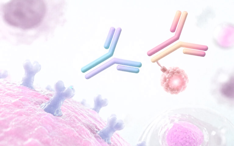 Beyond HER2 and TROP2: Where the Next ADC Breakthroughs Will Come From