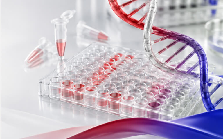 FDA DMF for Mycoplasma Detection Products: Supporting Biopharmaceutical QC and Regulatory Submissions