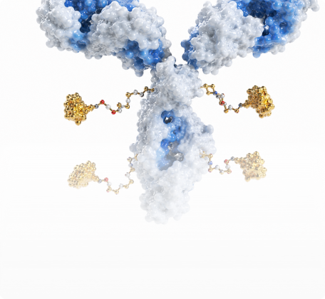 Antibody-Drug Conjugates