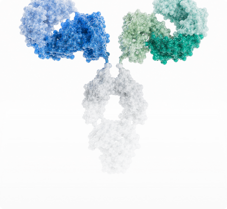 Bispecific Antibodies