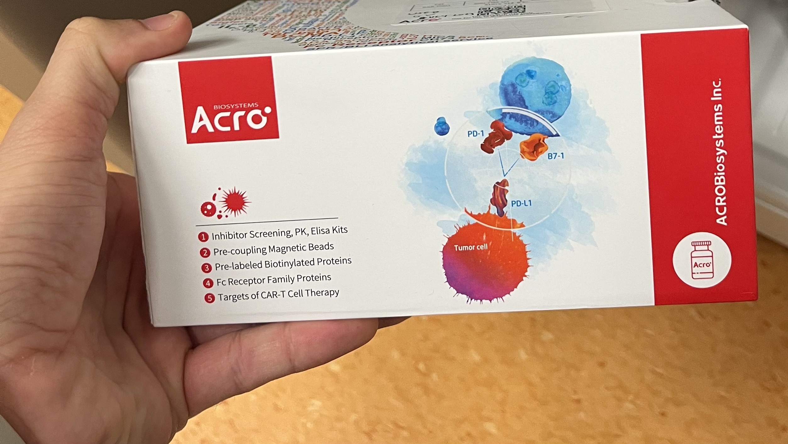 Anti-CD19 (FMC63) CAR Immunogenicity ELISA Kit | ACROBiosystems