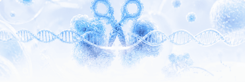 Nuclease