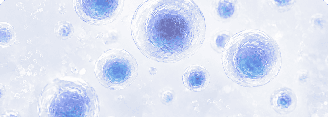One-stop Cell Line Solutions