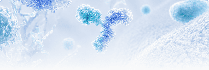 Therapeutic Antibody Development Solutions