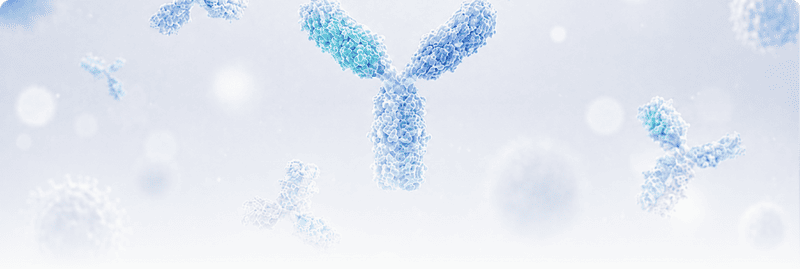 Bispecific Antibody Solutions