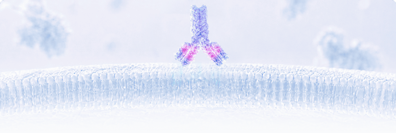 Immunohistochemistry (IHC) Antibody